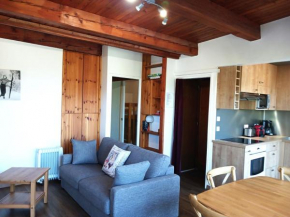 Charmant 2 pièces rénové, exposé sud, à 50m des pistes, WiFi, TV, parking, casier à skis - FR-1-411-901